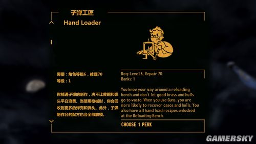 射是什么意思中文 2010114165021708.jpg